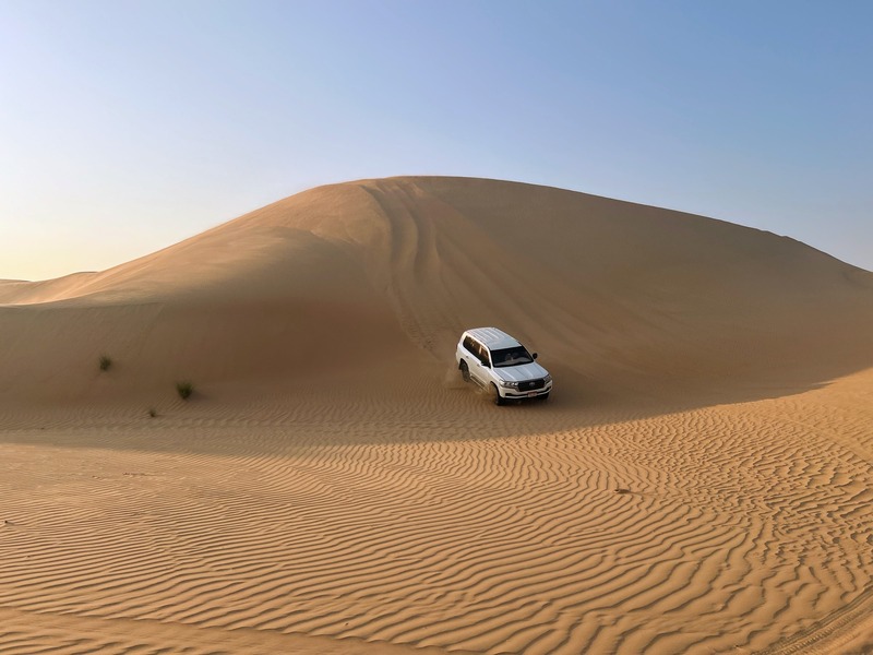 Morning Desert Safari Abu Dhabi with Dune Bashing, Sandboarding & Camel Trek