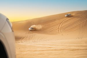 Abu Dhabi Desert Safari